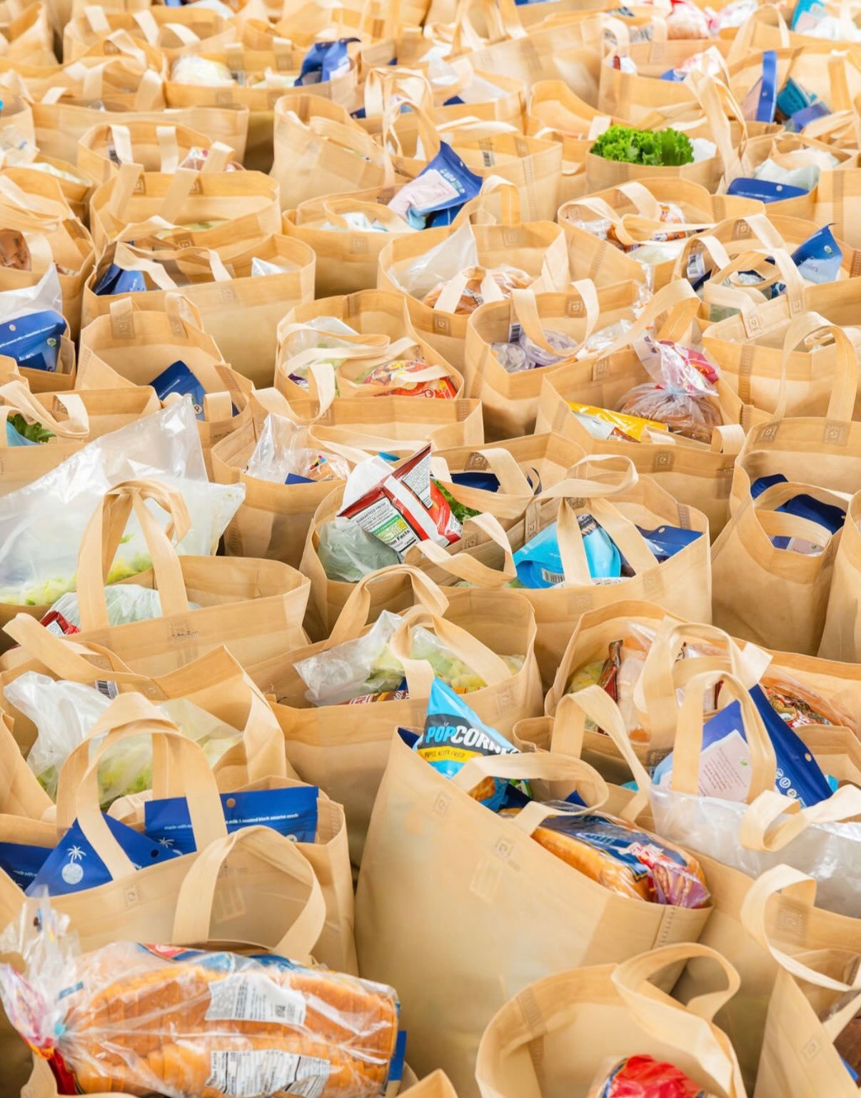 Groceries packed for families